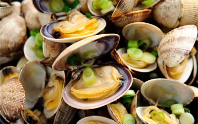 fresh local clams