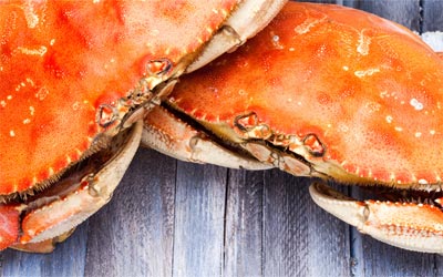 fresh local Dungeness crab