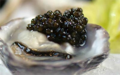 Northern Devine Caviar